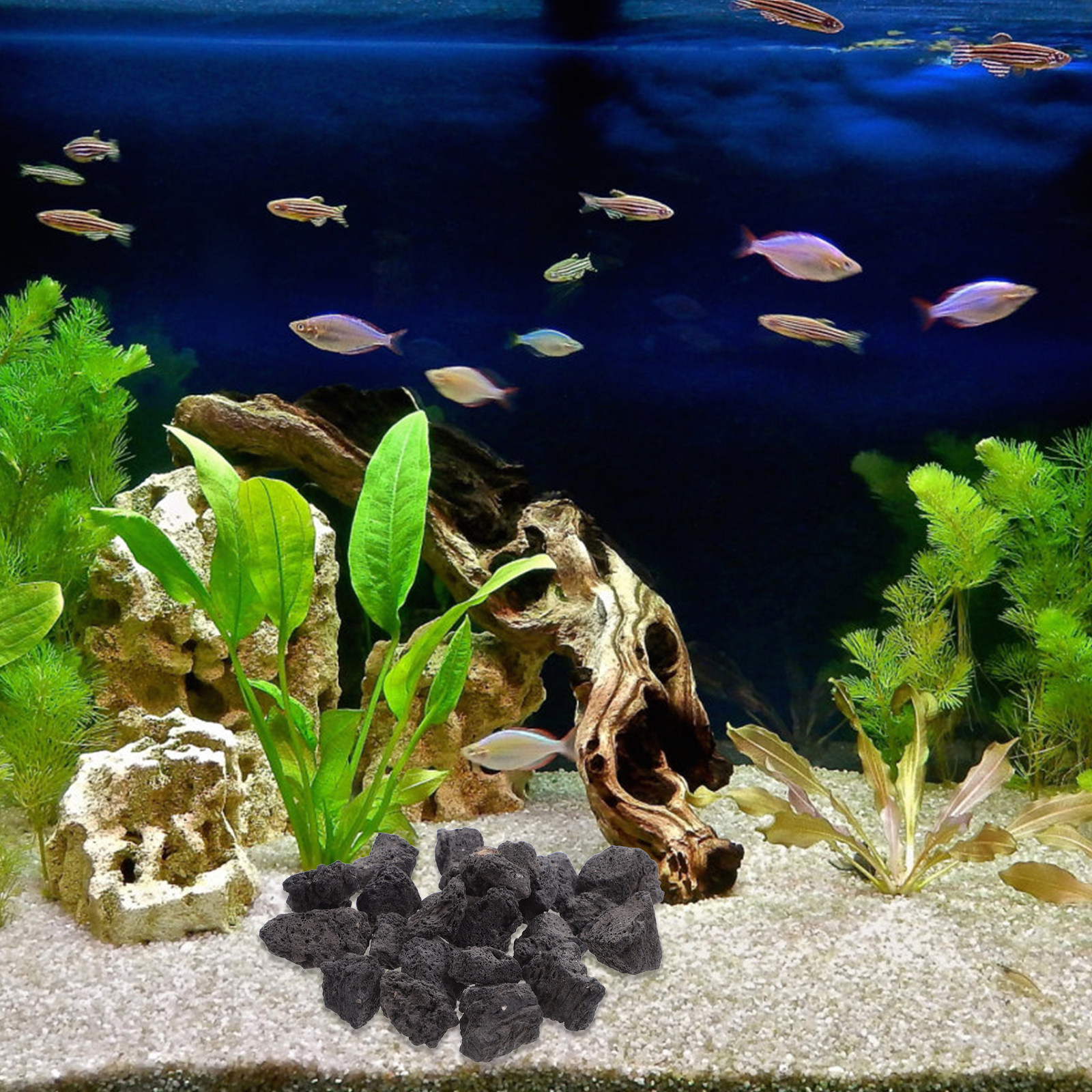 1Pack Volcanic Stone Fish Tank - Aquarium Fish Pot บทวิจารณ์และราคา