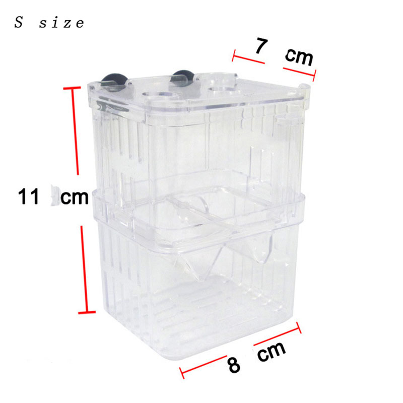 Peacock Fish Breeding Isolatio - Aquarium Fish Betta บทวิจารณ์และราคา