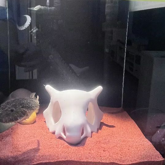 3D Printed FIsh Shrimp Reptile - Aquarium Fish Hideout บทวิจารณ์และราคา