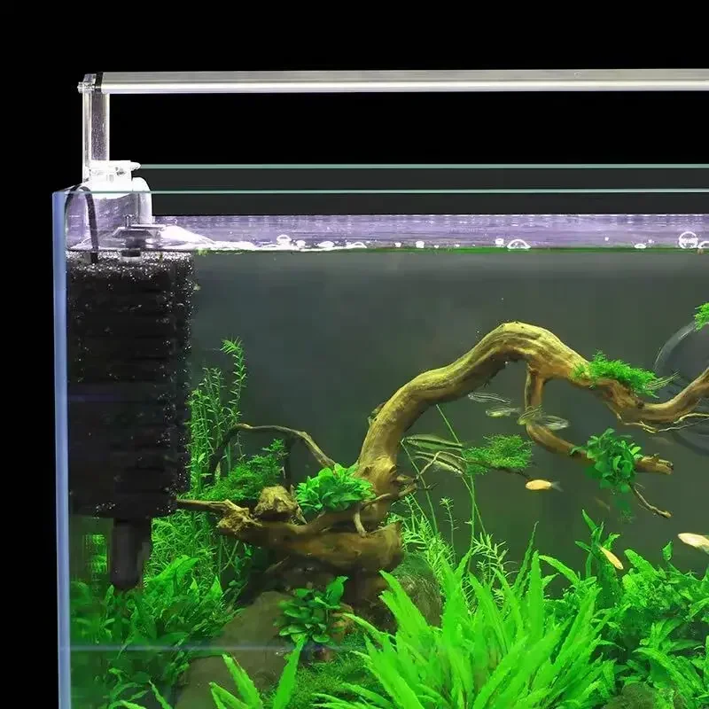 3-IN-1 Clip on Electric Power  - Aquarium Fish Ball บทวิจารณ์และราคา
