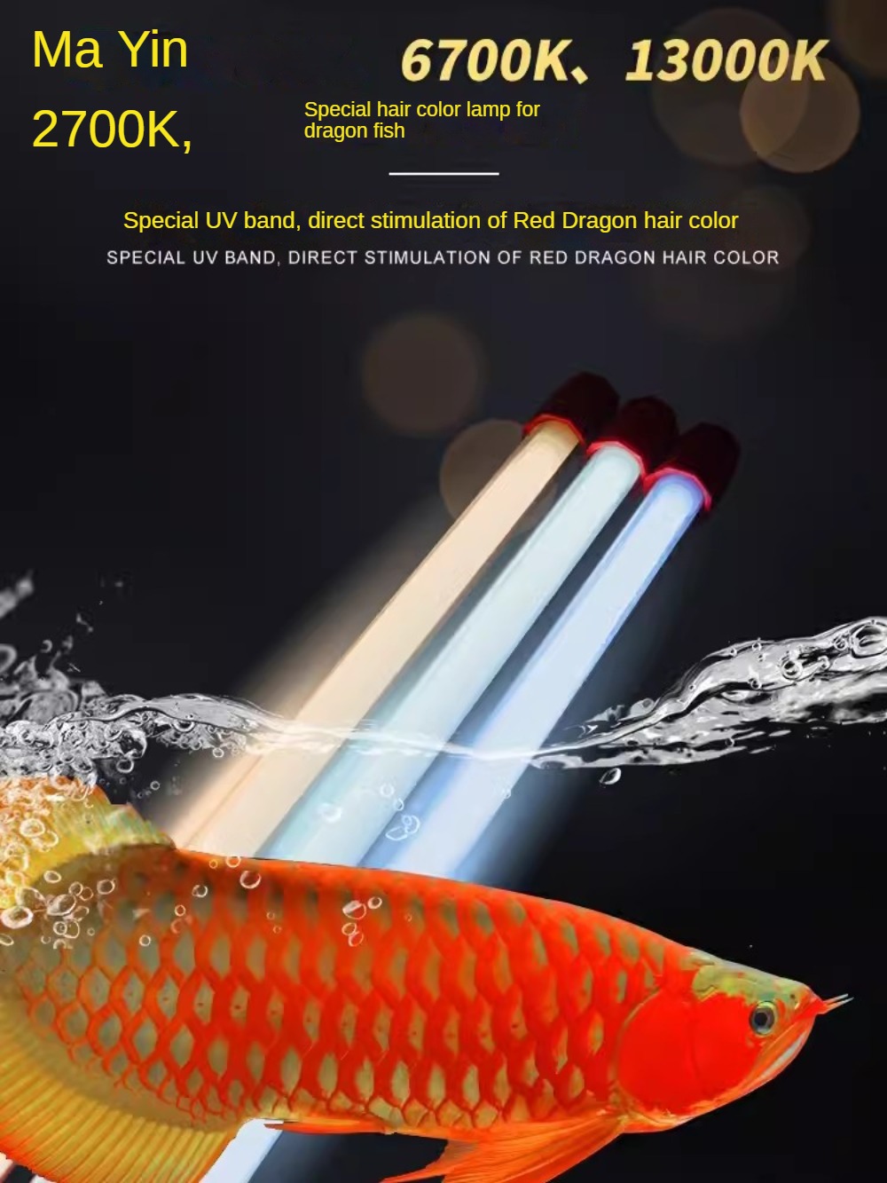 Glass Arowana Fish Tank Light, - Aquarium Fish Yellow บทวิจารณ์และราคา