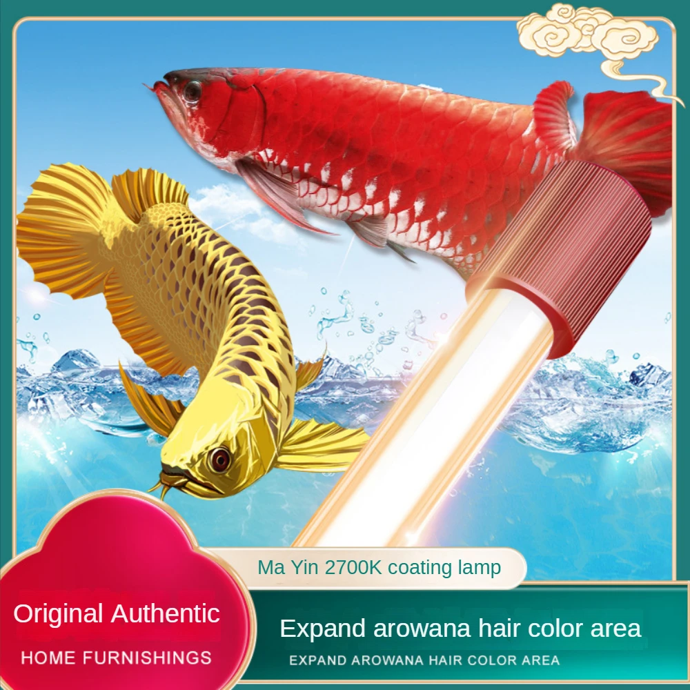 Glass Arowana Fish Tank Light, - Aquarium Fish Yellow บทวิจารณ์และราคา
