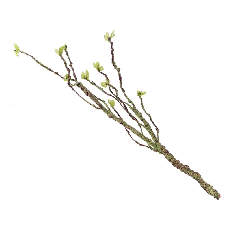 Vines Decor Climbing Branches  - Aquarium Fish Types บทวิจารณ์และราคา