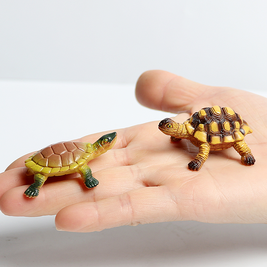 Realistic Miniatures Marine Li - Aquarium Fish Types บทวิจารณ์และราคา